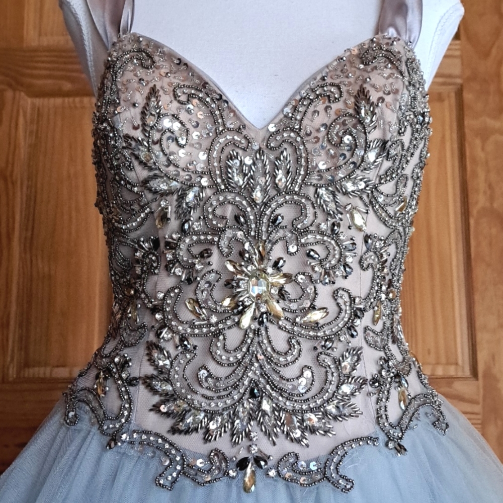 Terani Couture voluminous tulle evening formal gown crystals satin straps sz4-6 - Picture 4 of 16